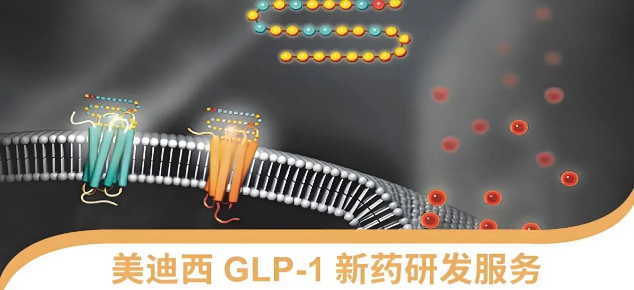 70.5%的成人正在悄悄长胖！国家卫健委“减肥令”下，GLP-1药物如何突围？