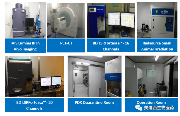 人生就是博药理部拥有IVIS Lumina III, PET-CT, BD LSRFortessa-16, Flow Cytometry等仪器，提供符合申报，支持临床试验的药效评价服务。