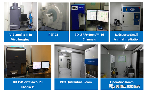 人生就是博药理部拥有IVIS Lumina III, PET-CT, BD LSRFortessa-16，Flow Cytometry等仪器