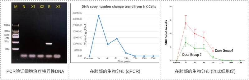 qPCR和流式细胞术得到的检测结果一致.jpg