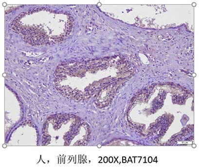 组织交叉-2.jpg