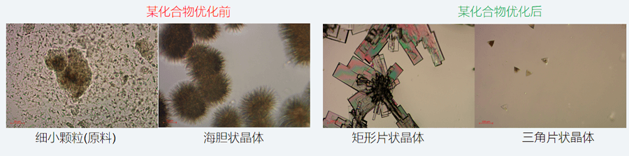 05案例分享-单晶培养，改变晶习.png