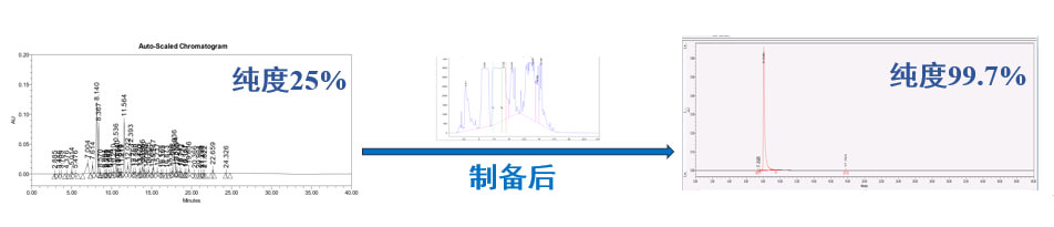 案例一：仿制药发补：大极性杂质制备.jpg